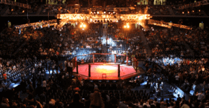 MMA Cage Event