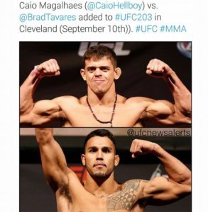 UFC 203