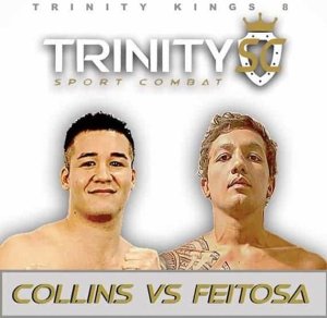 Jason Collins Vs Nate Feitosa