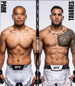 UFC Fight Night: Brad Tavares vs. Jun Yong Park